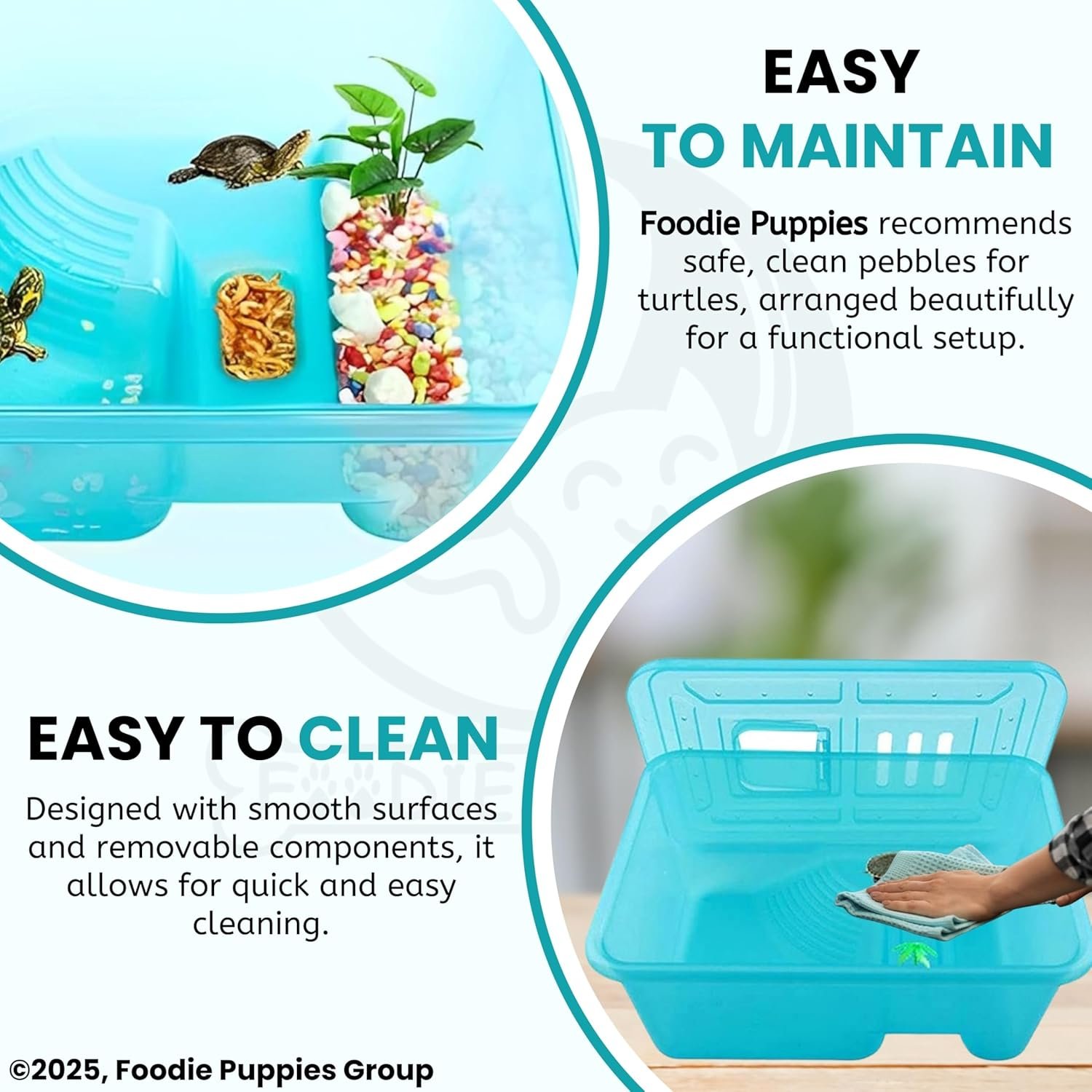 Turtle House Tank Aquarium (Medium 42×30×16 cm) with Cover – Turquoise | Safe Habitat for Turtles & Crayfish - Image 3