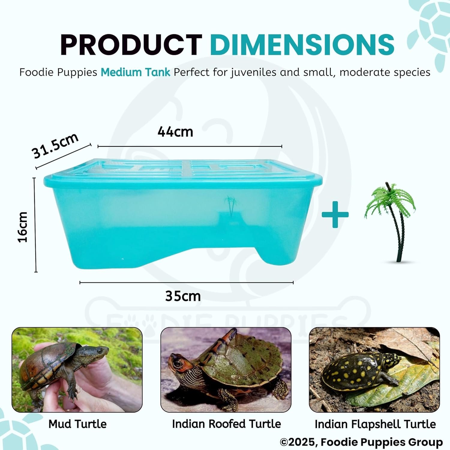 Turtle House Tank Aquarium (Medium 42×30×16 cm) with Cover – Turquoise | Safe Habitat for Turtles & Crayfish - Image 2